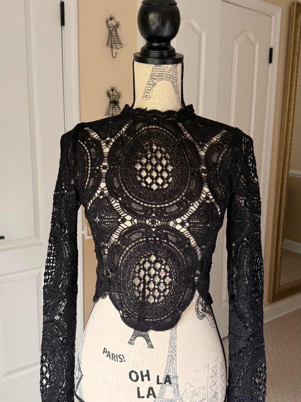 Lulus Black Crochet Lace Crop Top Long Sleeve Mock Neck Back Zip - Picture 1 of 4